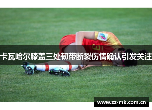 卡瓦哈尔膝盖三处韧带断裂伤情确认引发关注